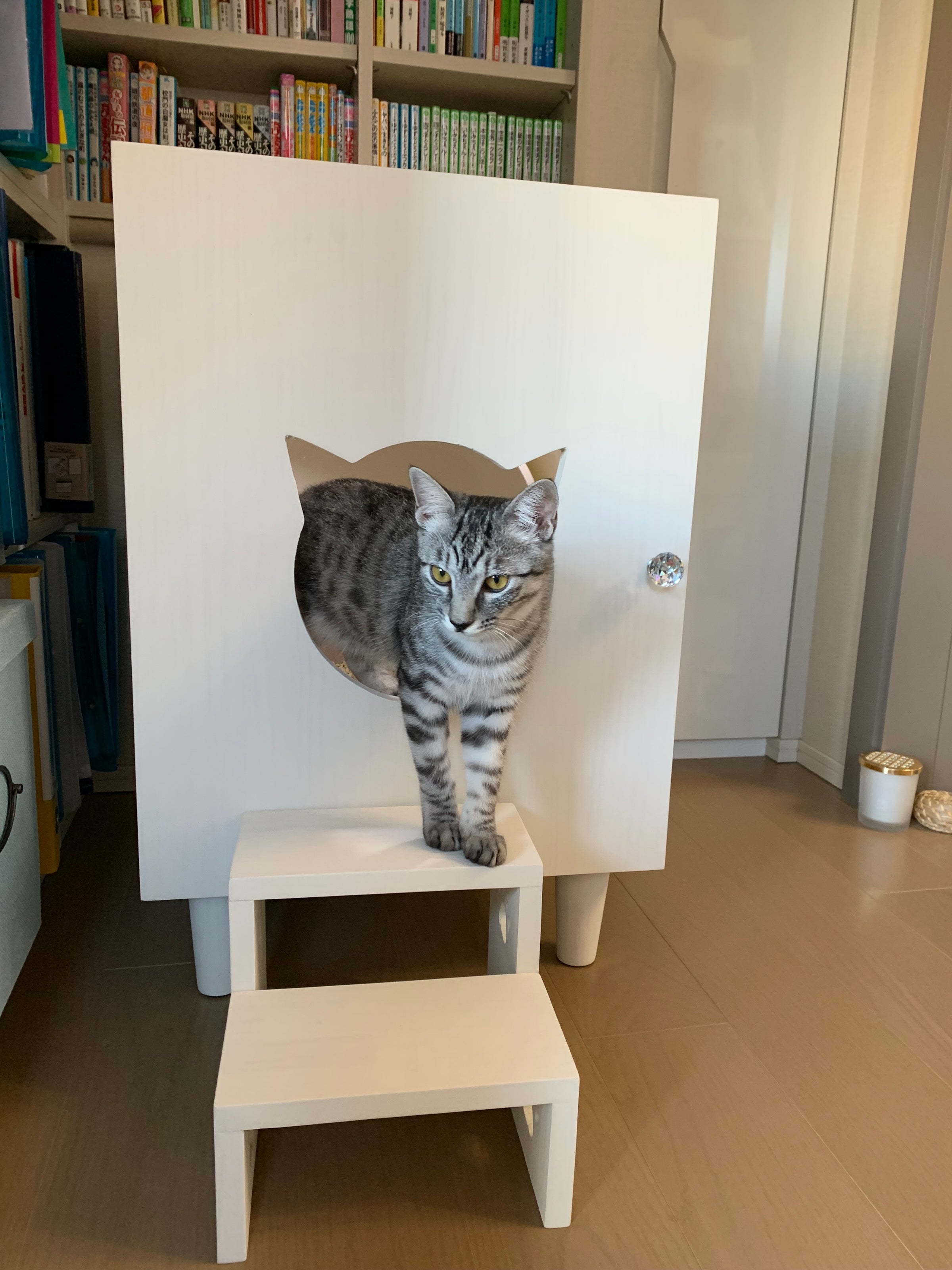 お掃除ロボットも通れる脚付き天然木の猫のトイレカバーハウス